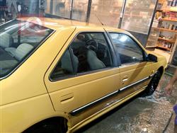 Peugeot Pars